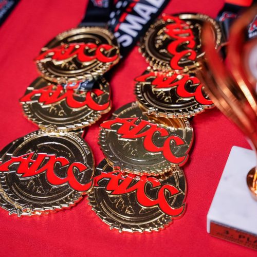 ADCC Tuzla 2026-Mizfits BJJ-medals