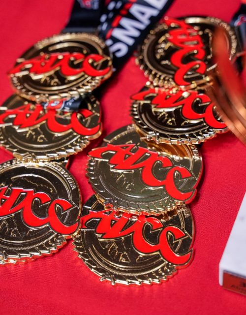 ADCC Tuzla 2026-Mizfits BJJ-medals