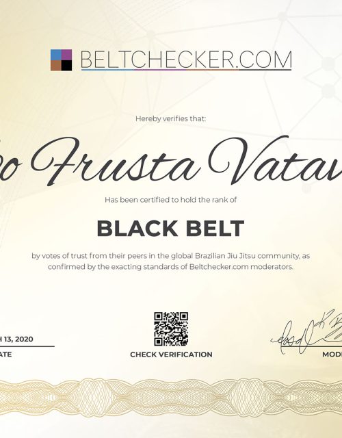 Ivo-Vatavuk-beltchecker-diploma