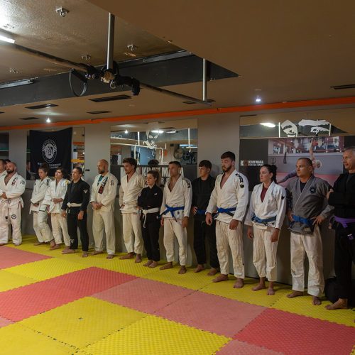 Ljetne-promocije-pojaseva-2025-Mizfits-BJJ