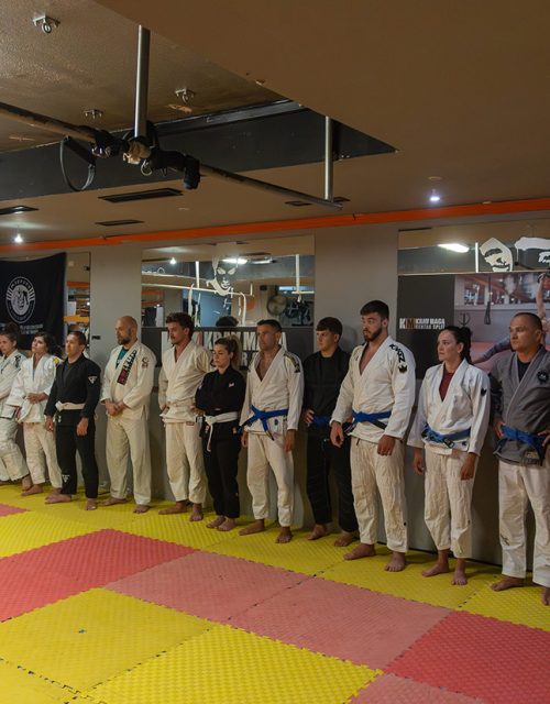 Ljetne-promocije-pojaseva-2025-Mizfits-BJJ
