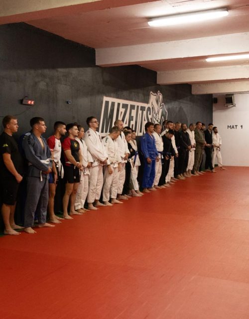 Promocije-pojaseva-Mizfits-BJJ-06-2026-4226