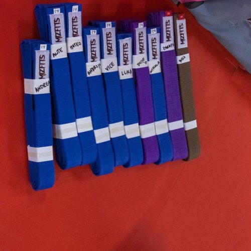 Promocije-pojaseva-Mizfits-BJJ-06-2026-4262