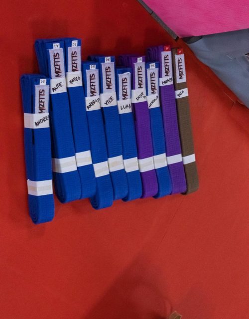 Promocije-pojaseva-Mizfits-BJJ-06-2026-4262