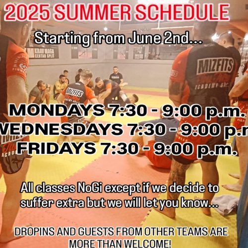 summer training schedule mizfits