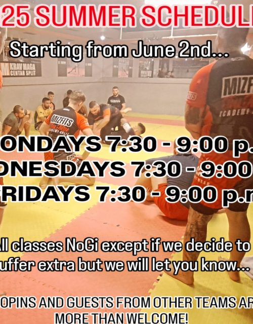 summer training schedule mizfits