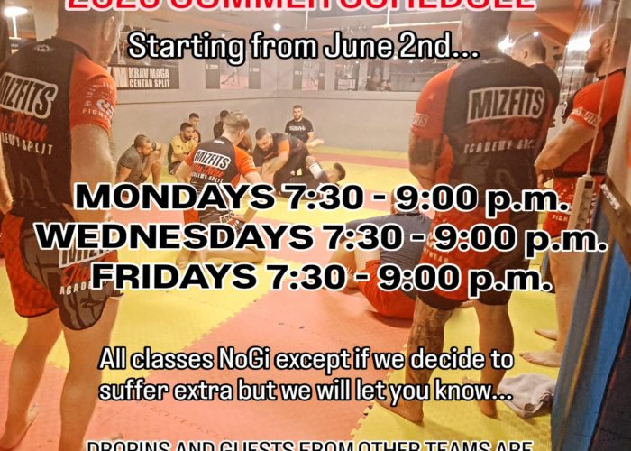 summer training schedule mizfits